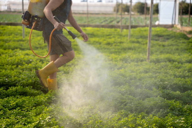 Best Exterminator Services  in North Prairie, WI