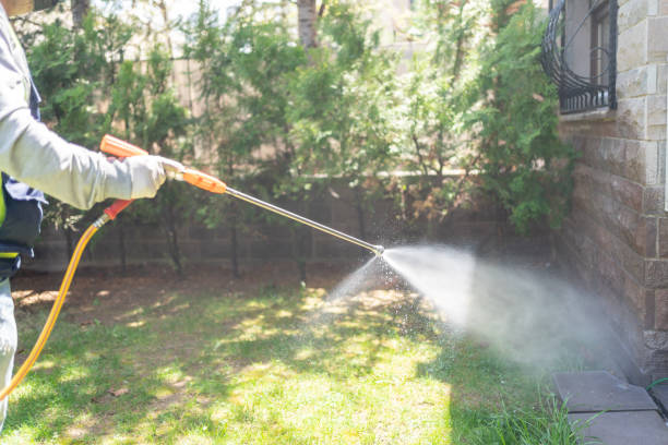 Trusted North Prairie, WI Pest Control Experts