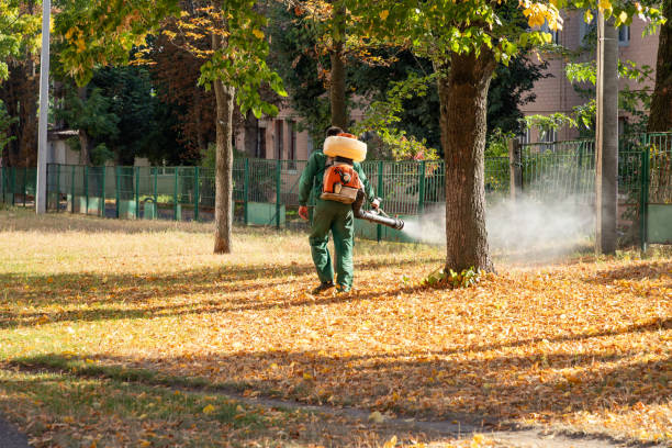 Best Residential Pest Control  in North Prairie, WI